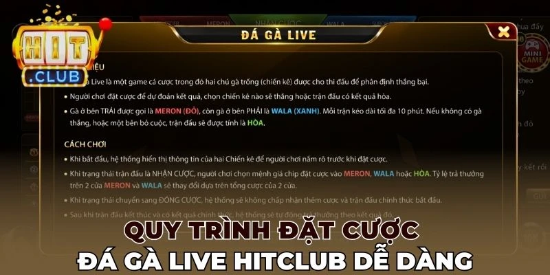 Quy trình đặt cược Đá gà live Hitclub dễ dàng